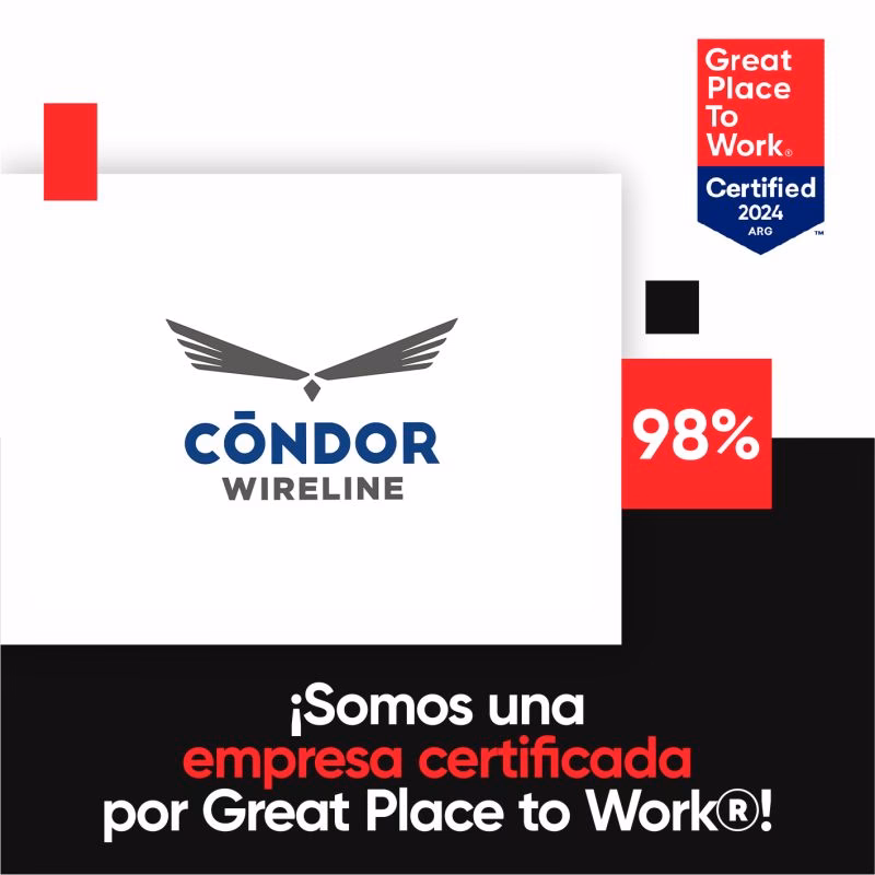 ¿Qué hace Wireline?