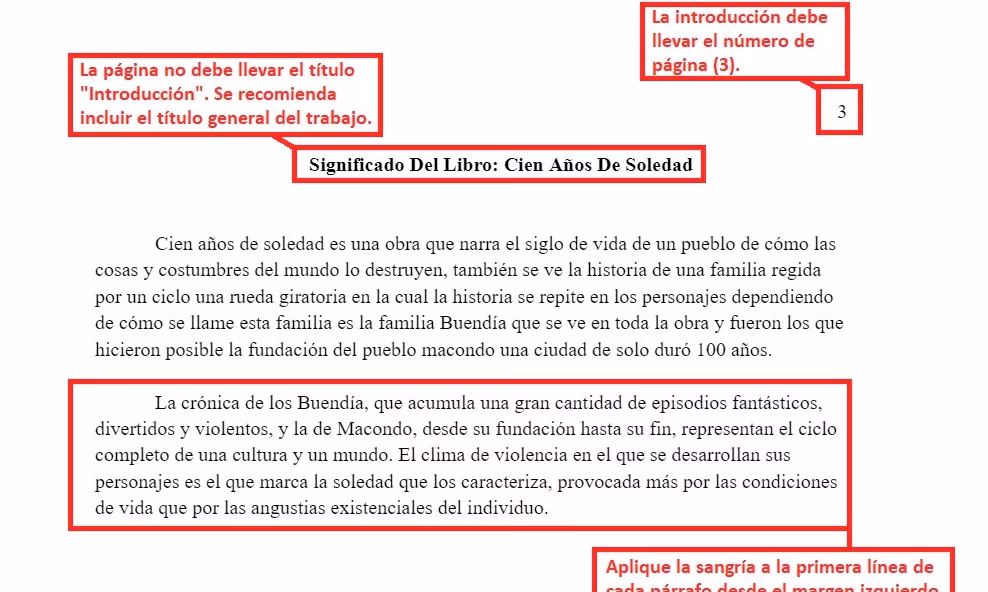¿Cómo es el orden de un trabajo con normas APA?