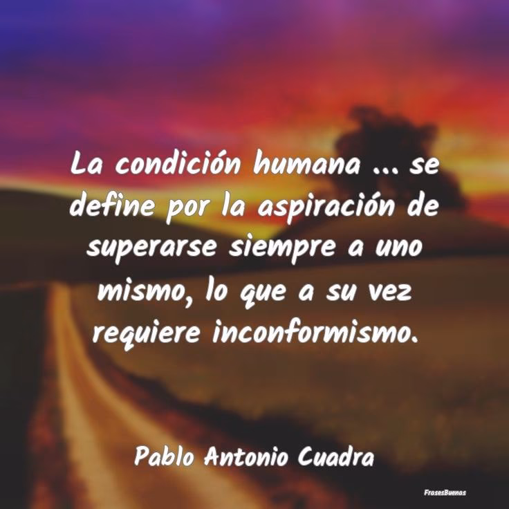 ¿Qué frases puedo gritar en la calle?