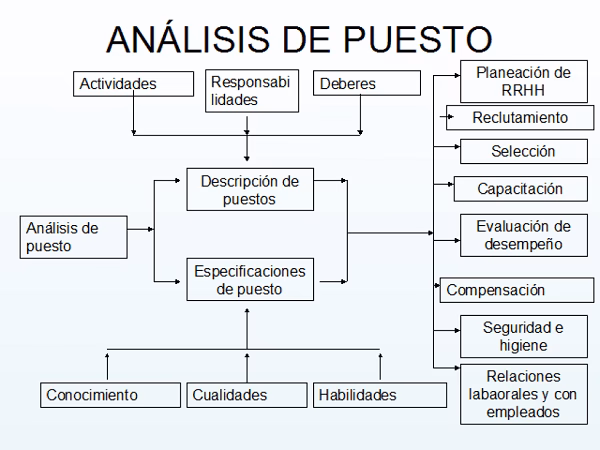 ¿Qué es una función desempeñada?