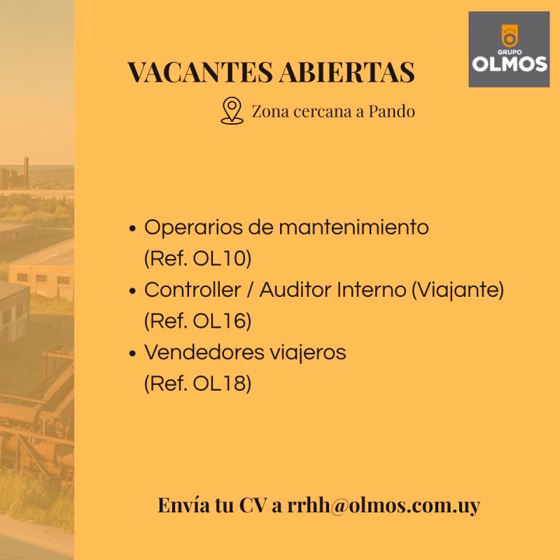 ¿Qué empresas tiene el Grupo Olmos?