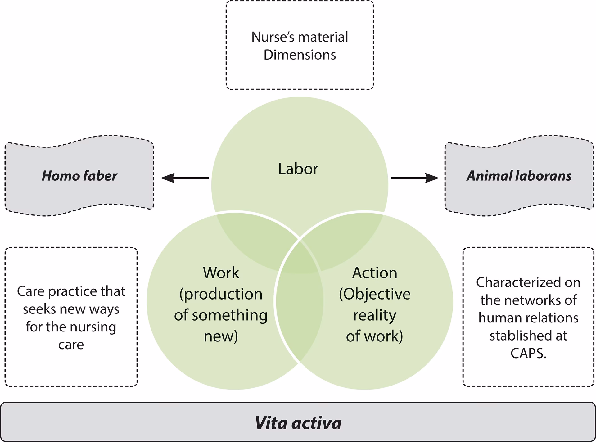 ¿Qué quiere decir Hannah Arendt del texto Labor, trabajo y acción?