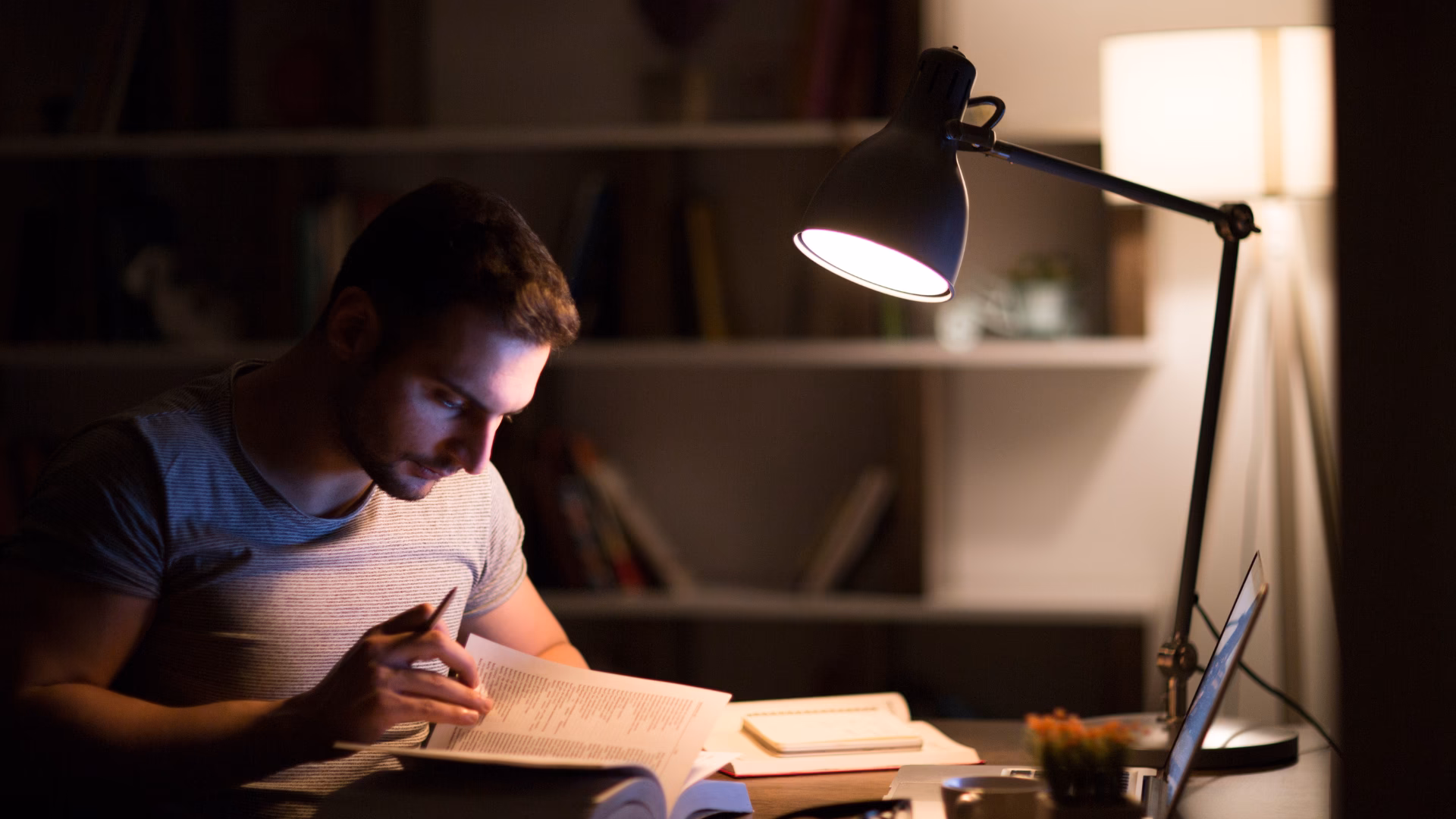 ¿Qué establece la ley de iluminación?