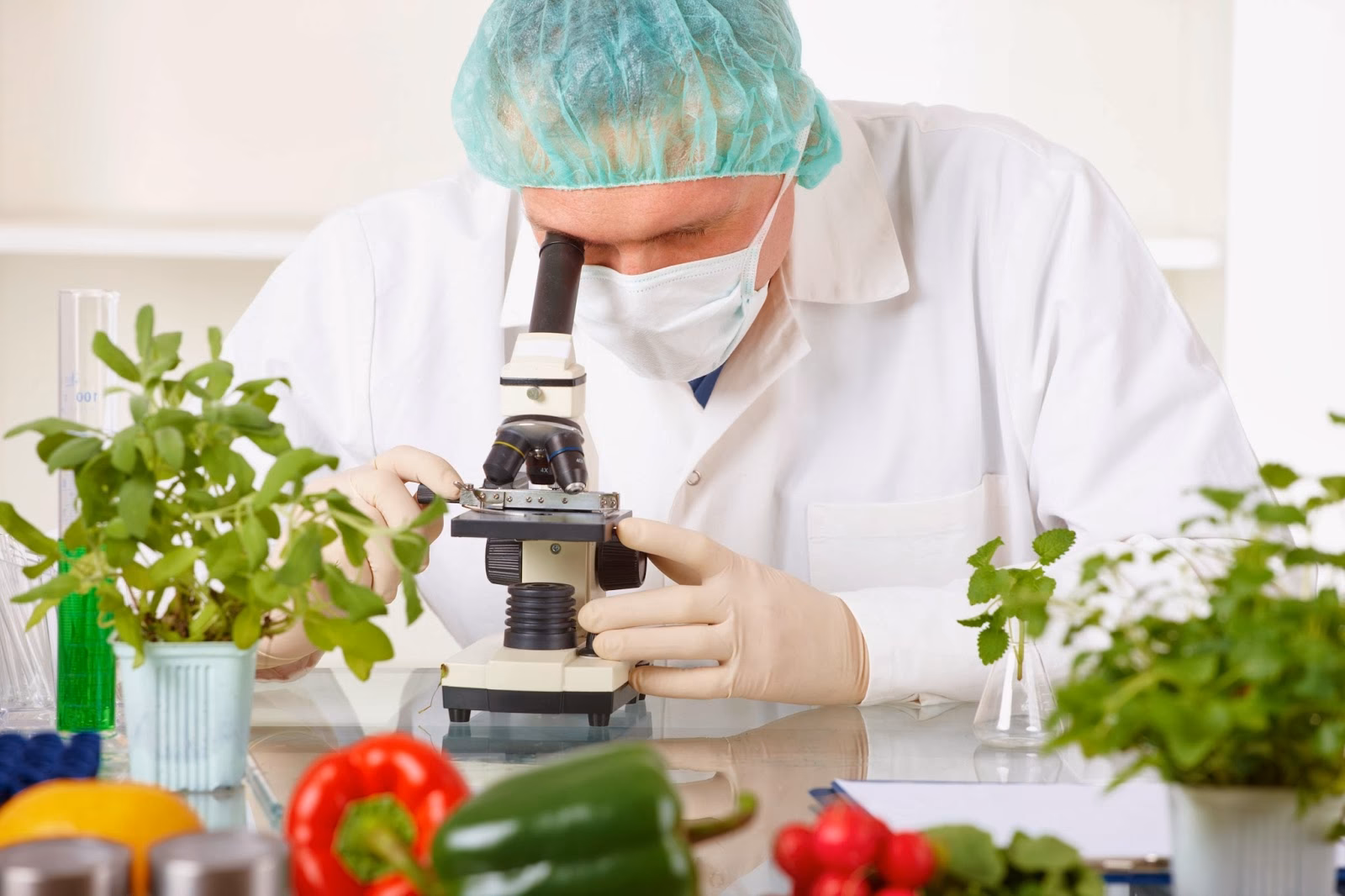 ¿Cuánto se gana en la ingeniería de alimentos?