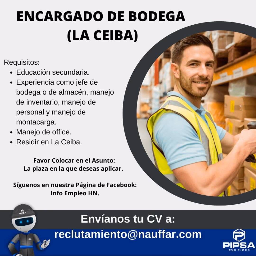 ¿Qué se estudia para ser jefe de bodega?
