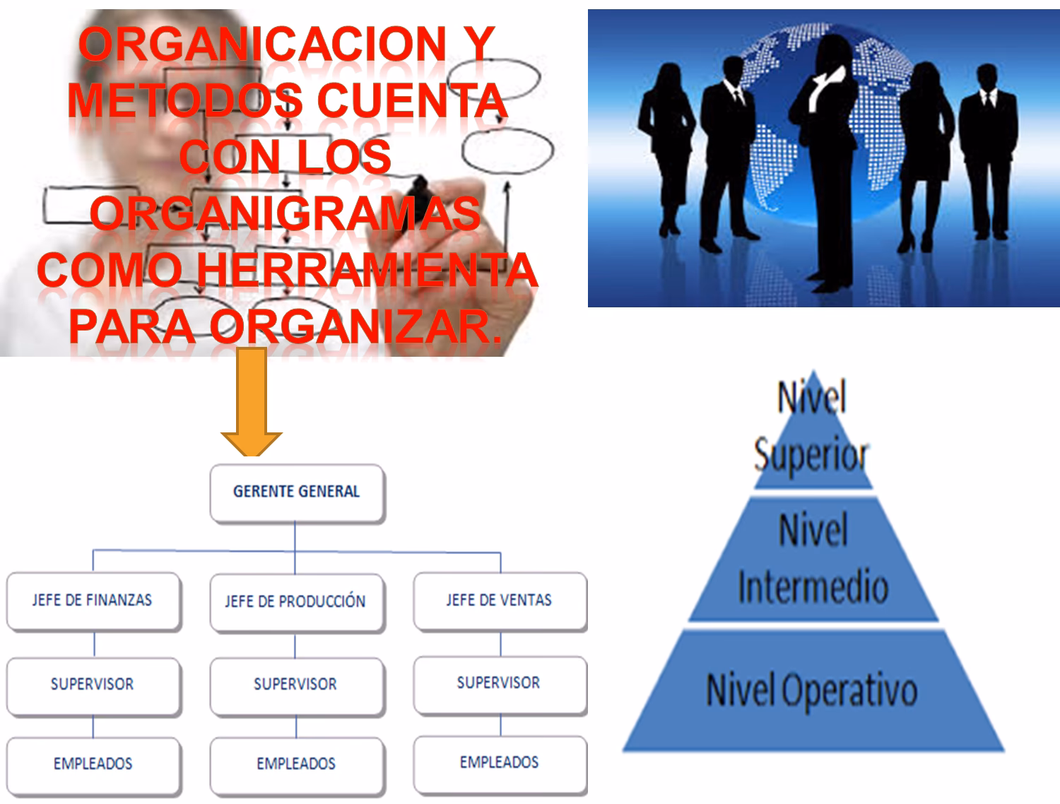 ¿Qué hace un jefe de organización?