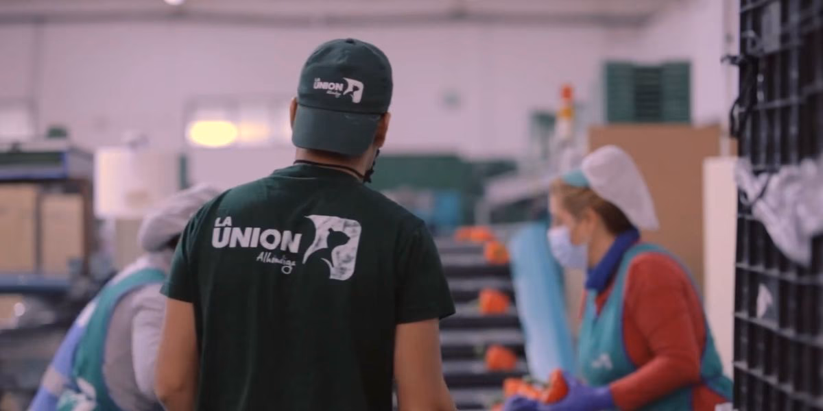 ¿Cómo aplicar para la unión de construcción?