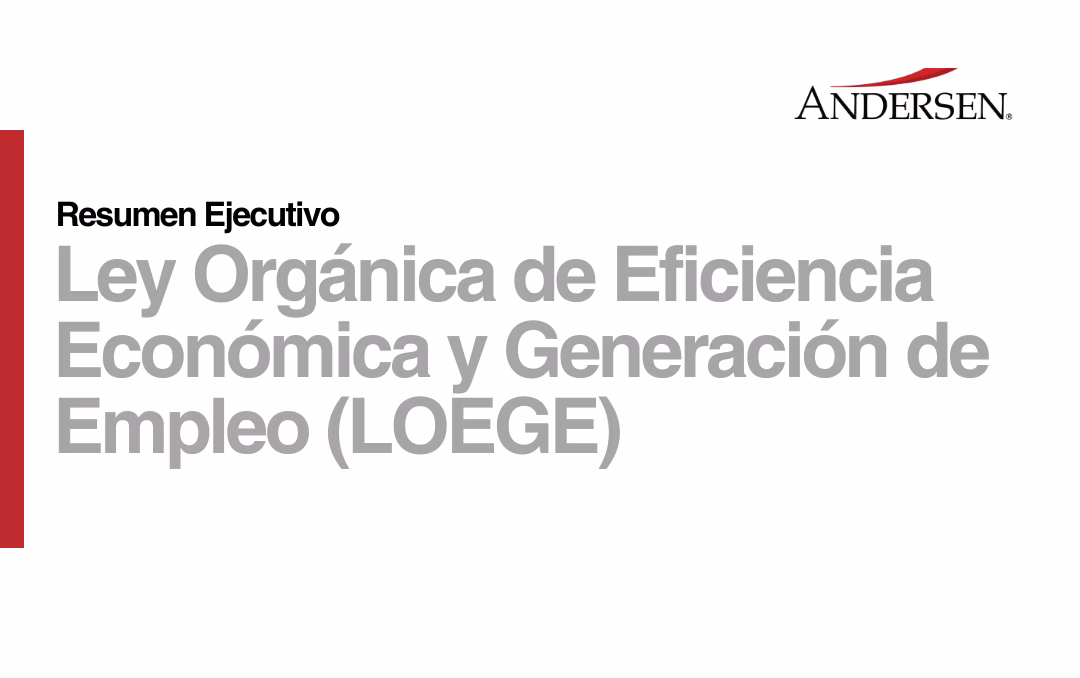 ¿Qué dice la Ley 1429?