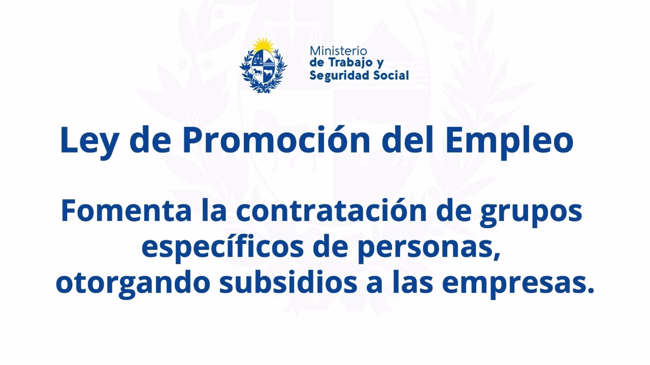 ¿Qué es la ley de promoción del empleo?