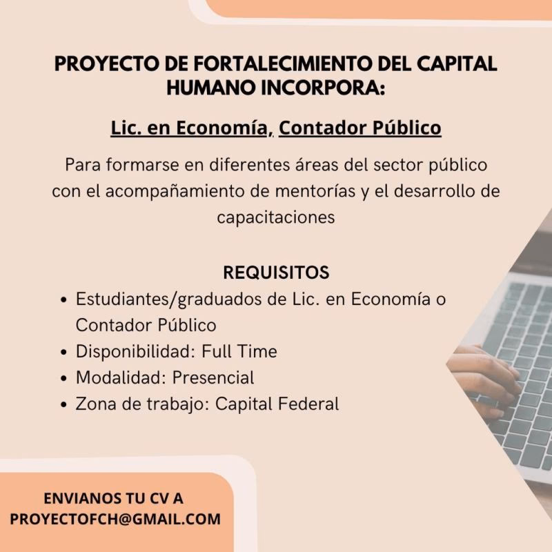 ¿Qué puestos tiene un economista?