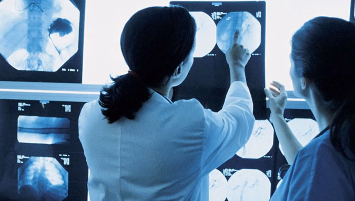 ¿Dónde trabaja un Licenciado en bioimagería?