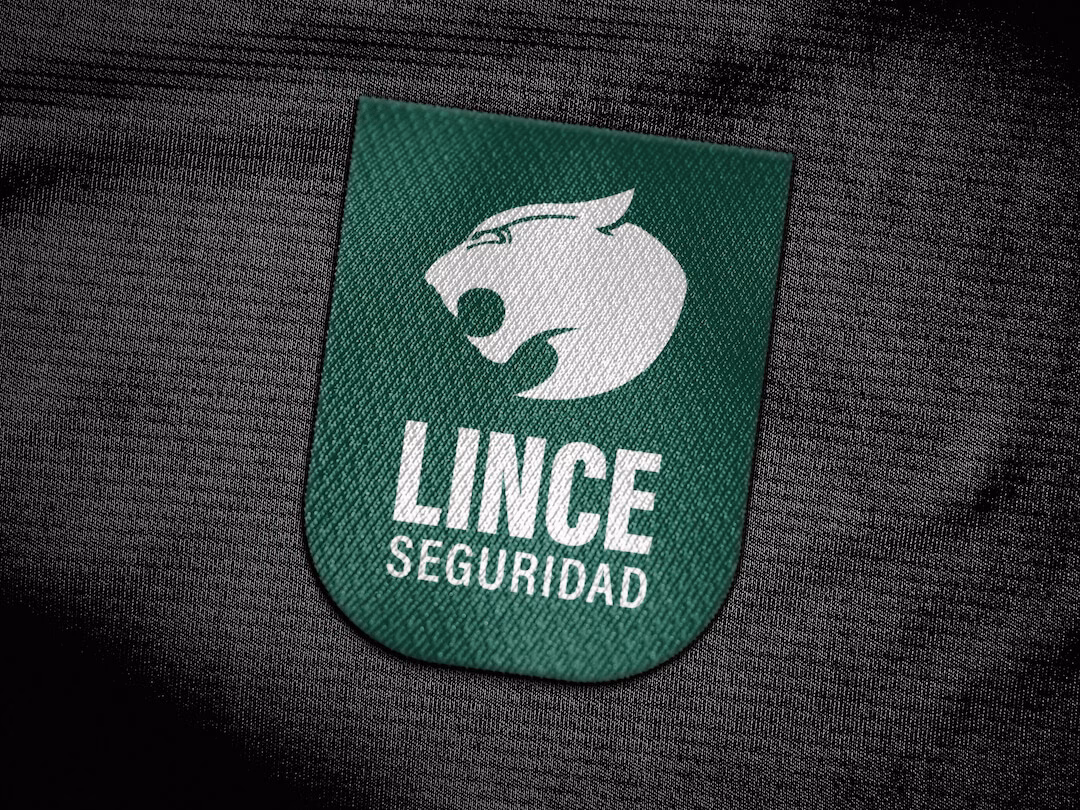 ¿Qué es el grupo lince?