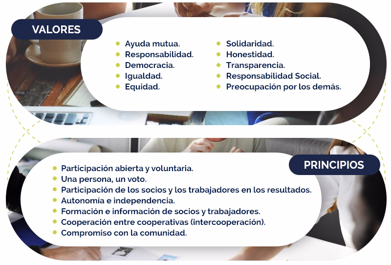 ¿Cuáles son las cooperativas de trabajo asociado en Colombia?