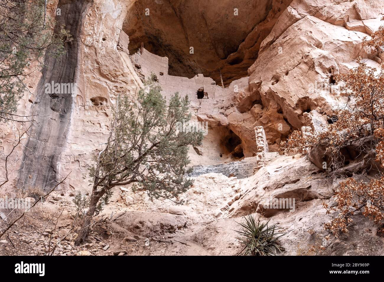 ¿Cuántos habitantes tienen los nogales?