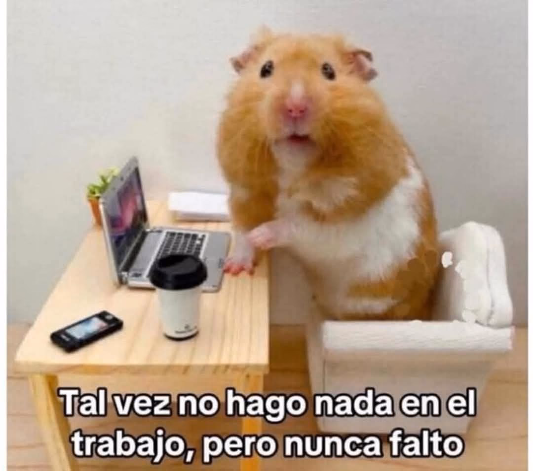 ¿Cuáles son algunos trabajos chistosos?