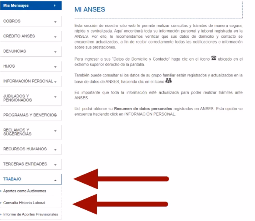 ¿Cómo leer el historial laboral?