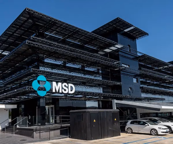 ¿Qué hace la empresa MSD?