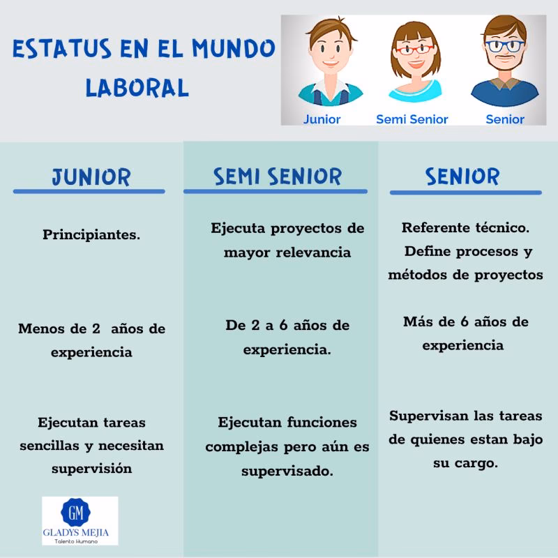 ¿Cuáles son los niveles de experiencia?