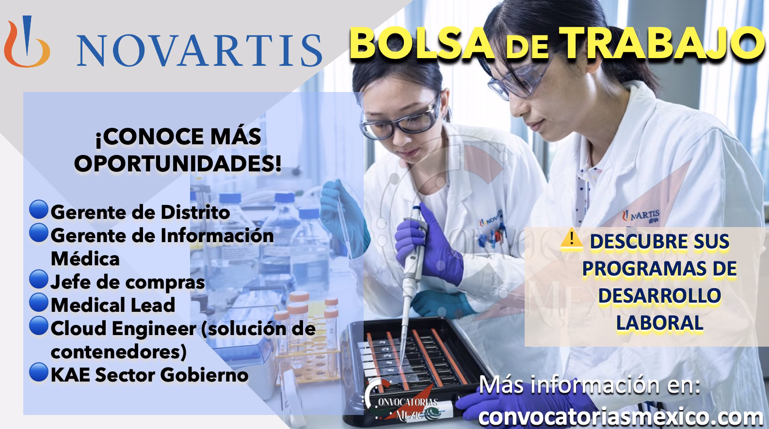 What are the top salaries at Novartis?