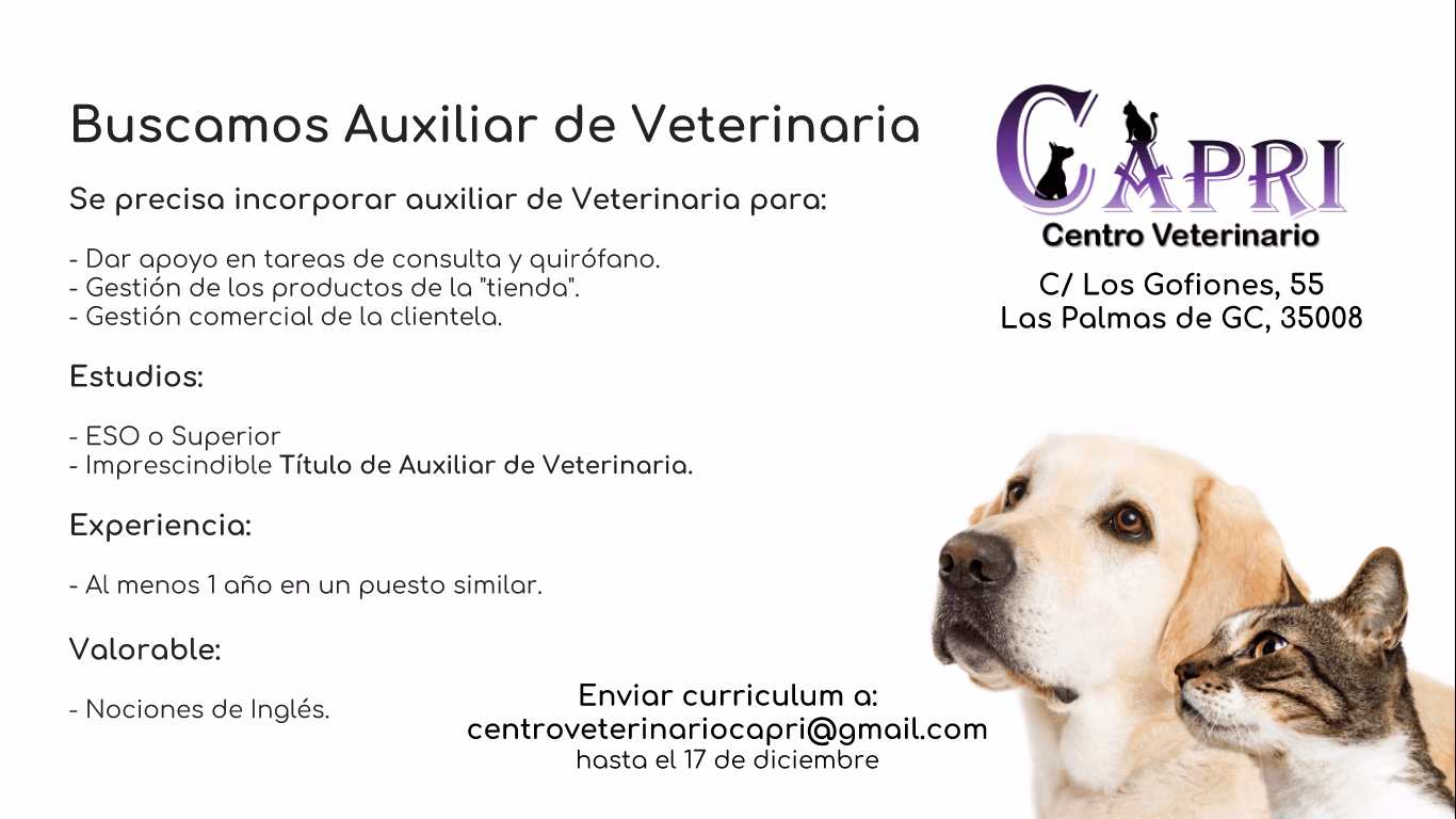¿Dónde puede trabajar un asistente veterinario?
