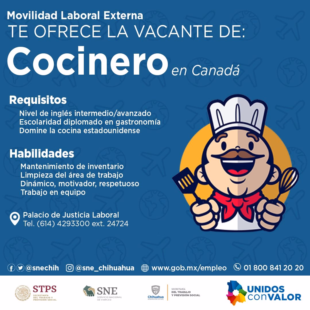 ¿Cómo es el trabajo de gastronomía?