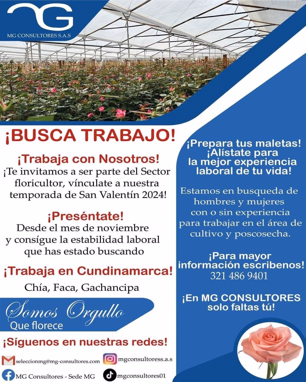 ¿Cómo se llama trabajar en flores?