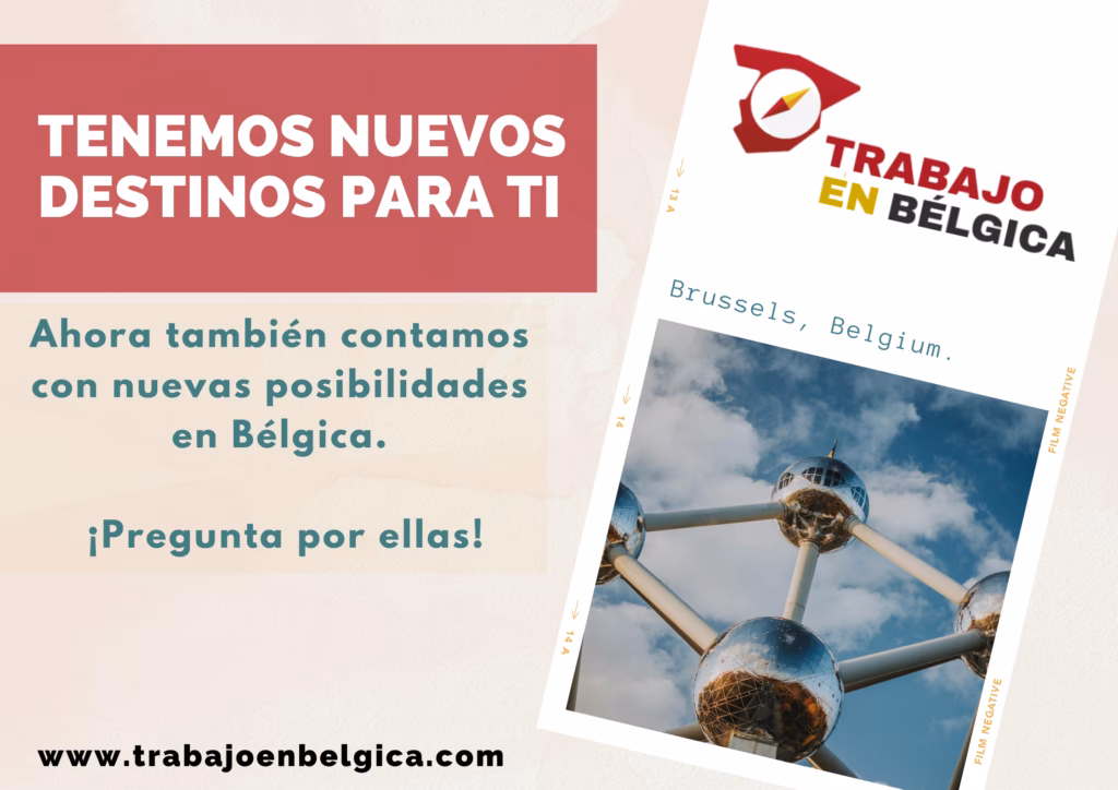 ¿Cuáles son los trabajos más demandados en Holanda?