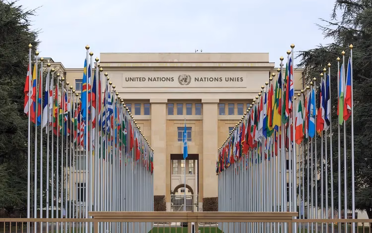 What is the Graduate Programme of the United Nations?