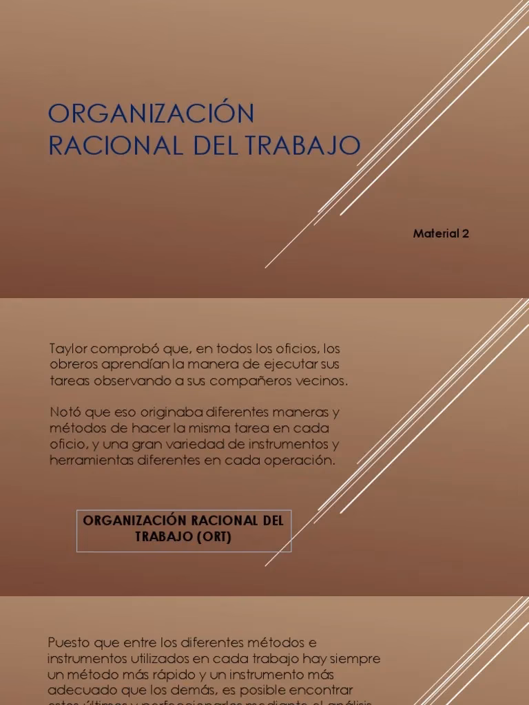 ¿Qué es la teoría de la organización racional?