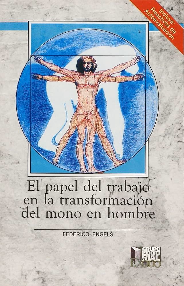 ¿Qué papel cumplió el trabajo en la transformación del mono a hombre?