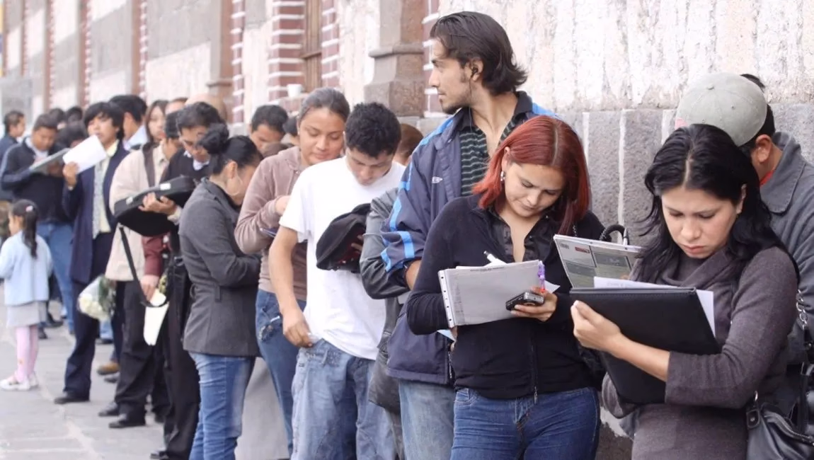 ¿Cómo se llama a alguien que busca empleo?