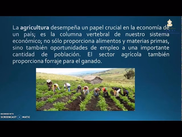 ¿Cuál es el papel del trabajo en la sociedad?