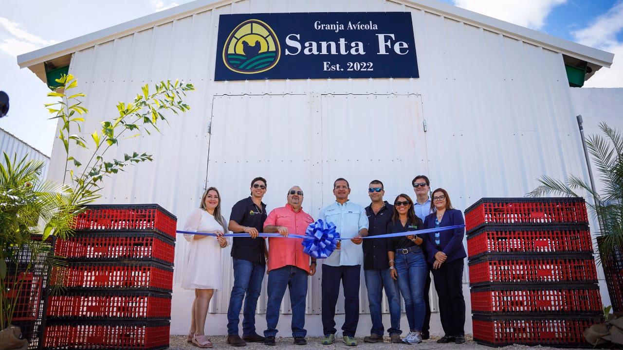 ¿Quiénes son los principales productores de huevos?