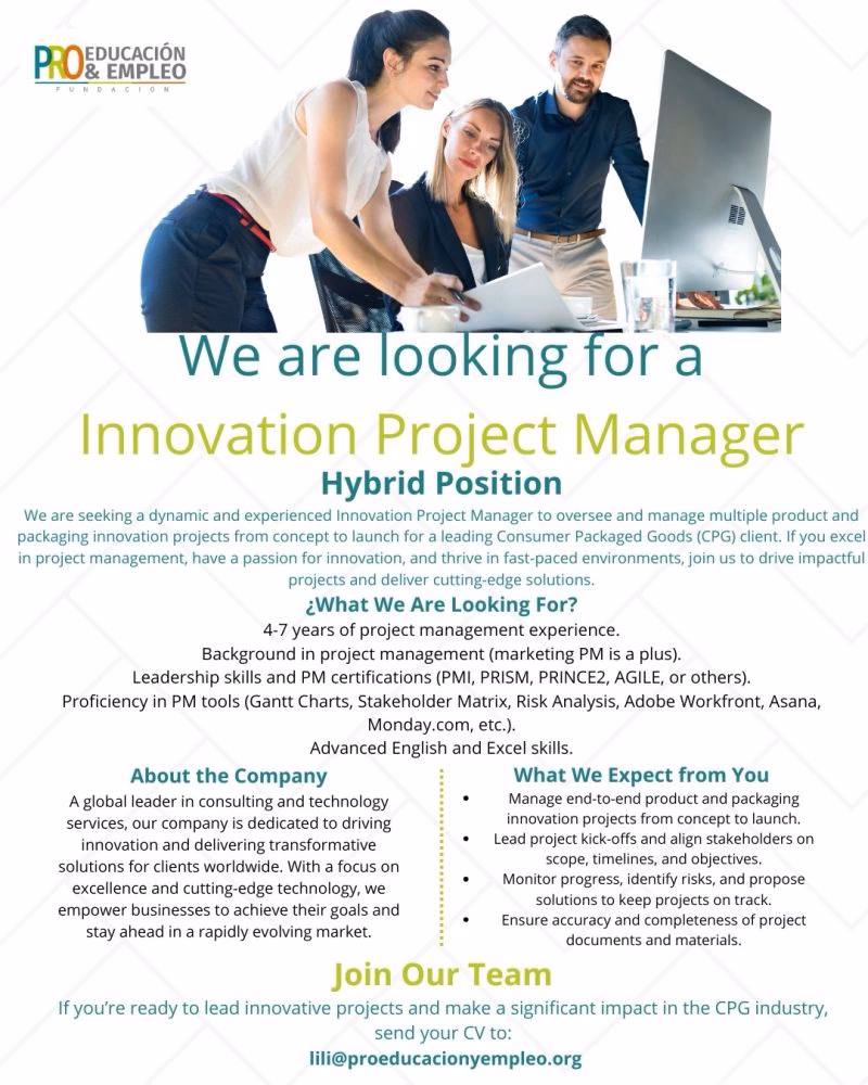 What are the 4 types of project managers?