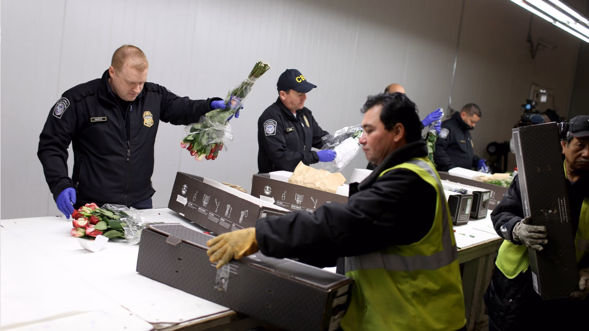 ¿Qué se necesita para trabajar en la aduana de Estados Unidos?