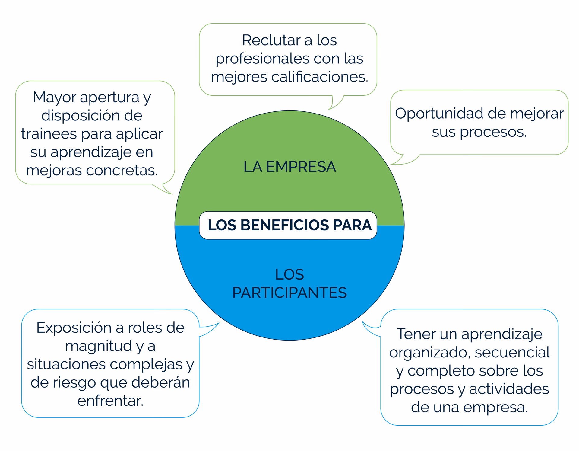 ¿Qué se necesita para ser trainee?