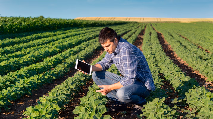 ¿Qué se hace en administración agropecuaria?