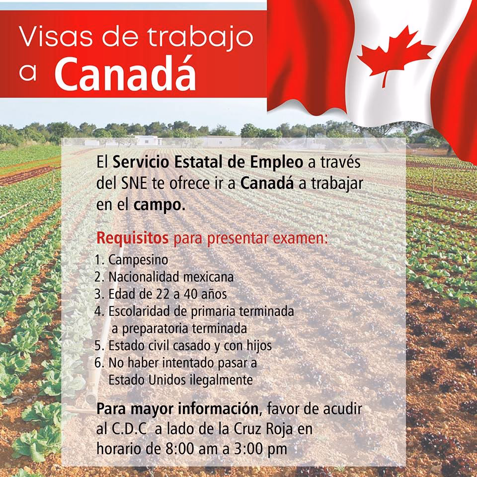 ¿Cuál es el salario mínimo para inmigrantes en Canadá?