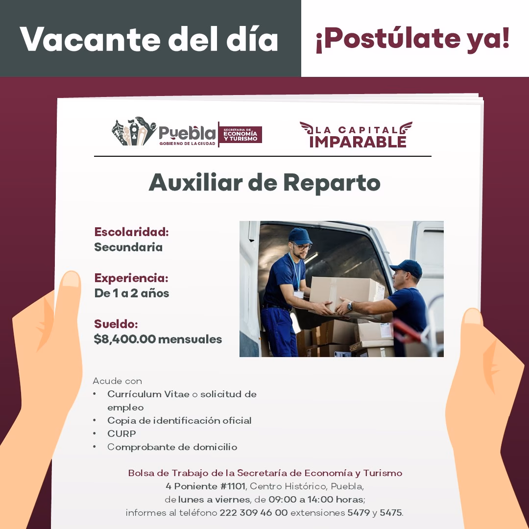 ¿Cuáles son las áreas del turismo?