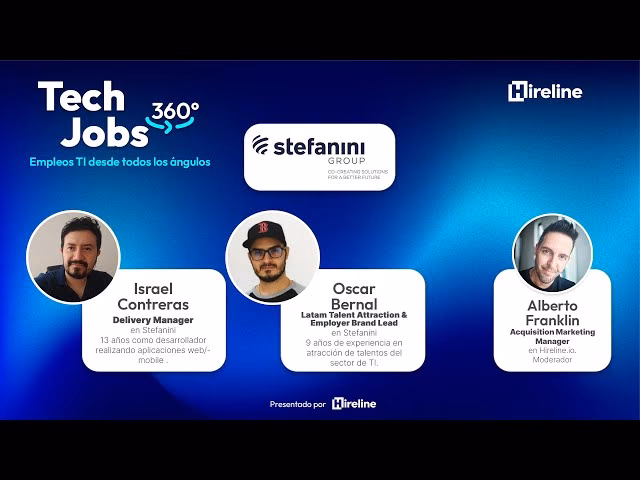 What does Stefanini Company do?