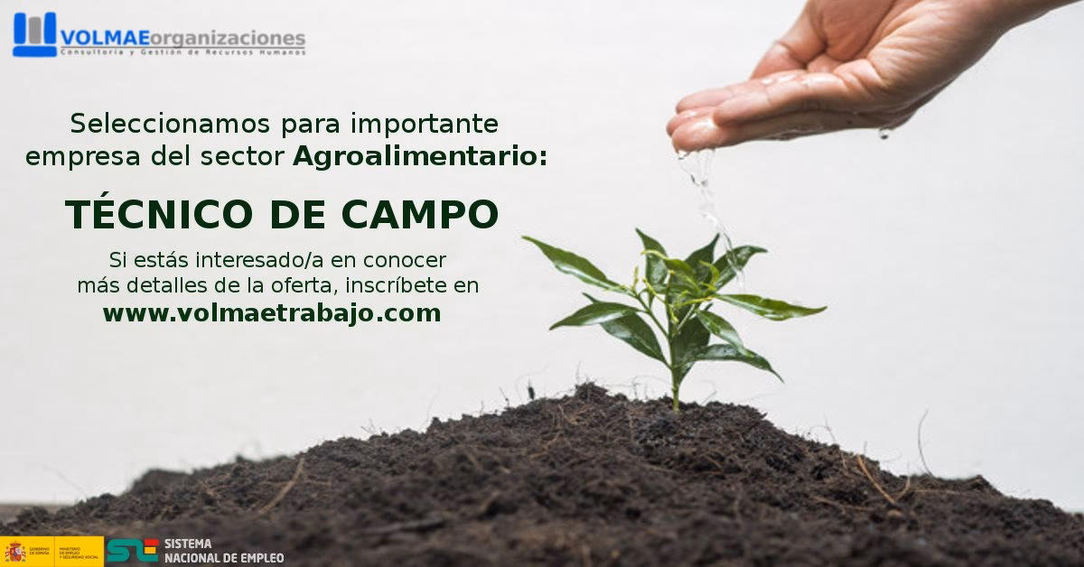 ¿Cuánto gana un técnico de campo?