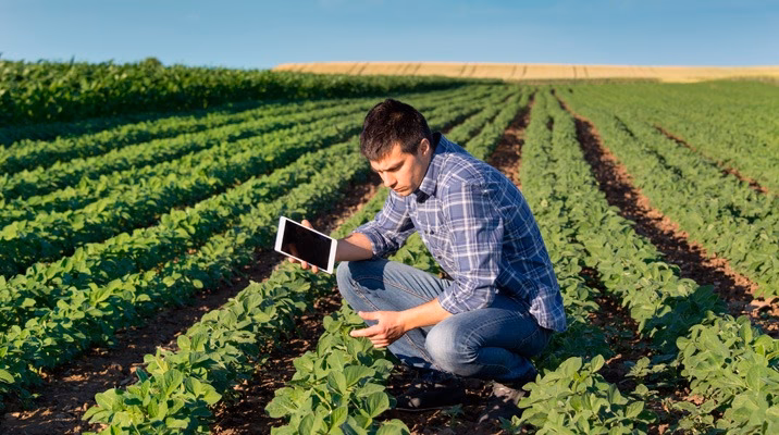 ¿Cuánto cobra un técnico en producción agropecuaria?