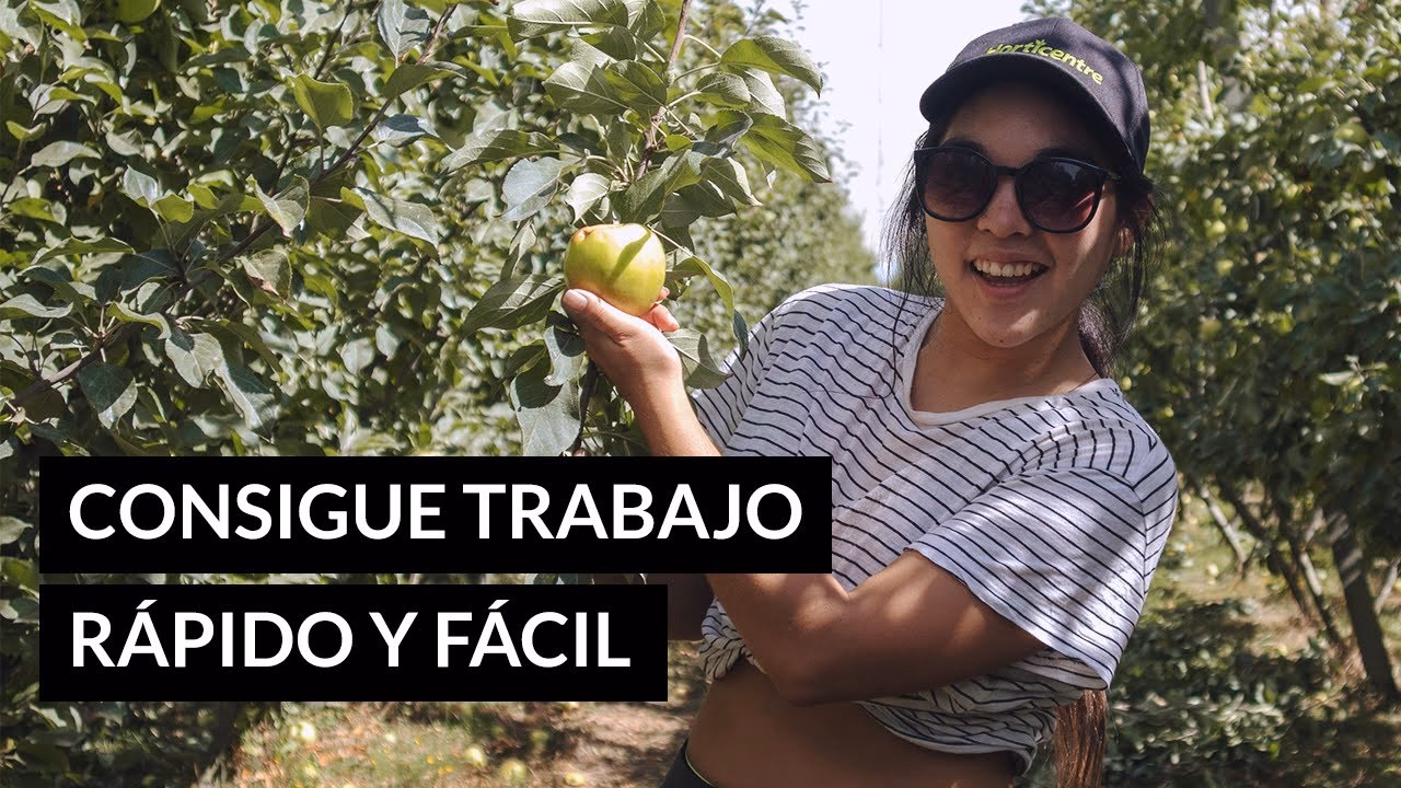 ¿Cuál es el mejor mes para solicitar un empleo en Nueva Zelanda?