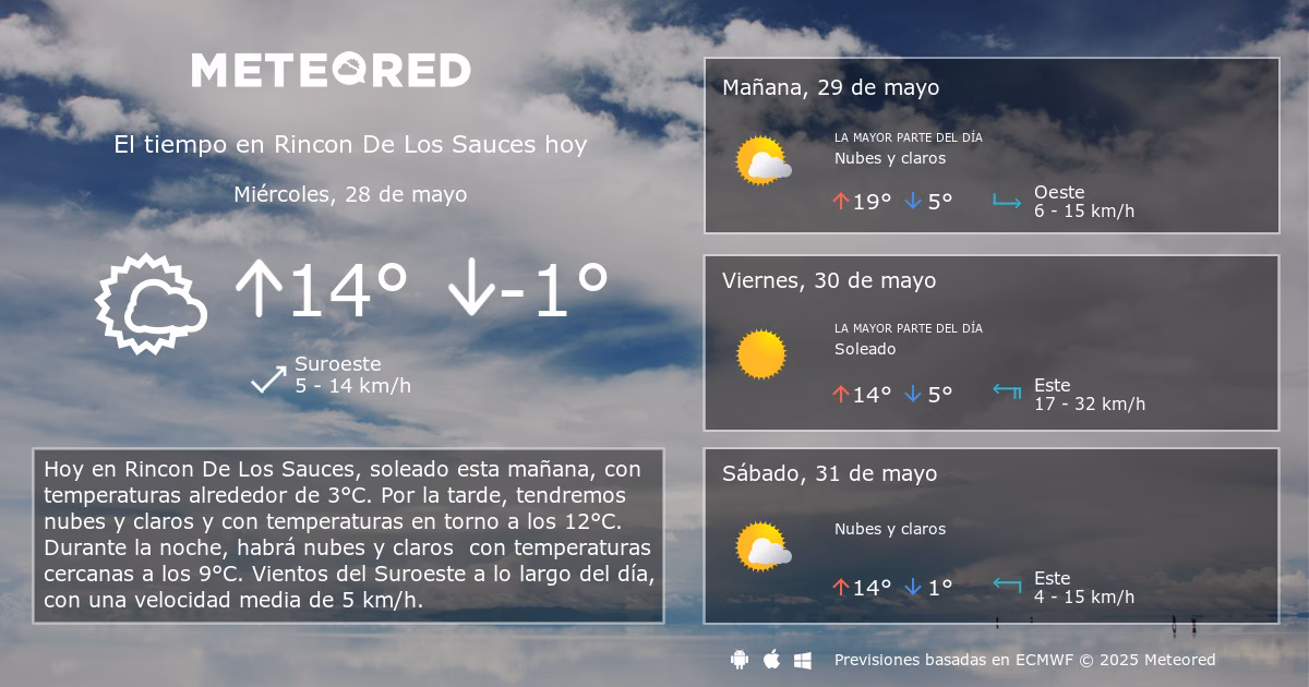¿Dónde está el viento en los sauces?