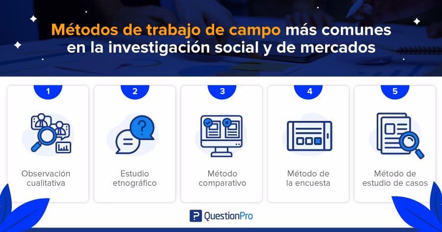¿Cuáles son los 7 tipos de investigación de campo?