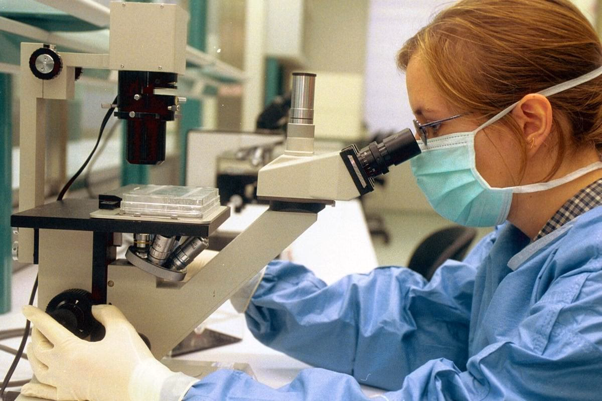 ¿Qué es el trabajo del científico?