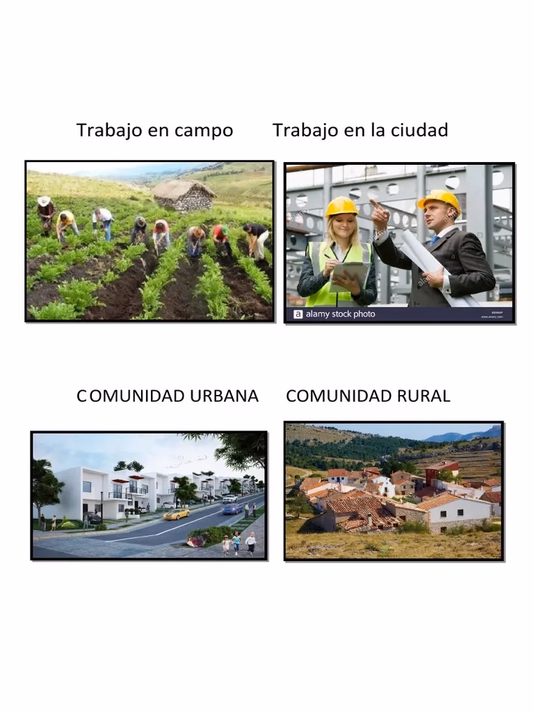 ¿Qué diferencia hay entre campo y ciudad?