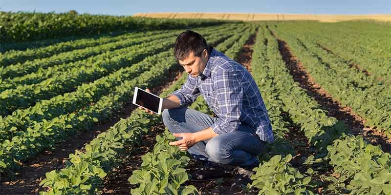 ¿Qué trabajos tiene un ingeniero agronomo?