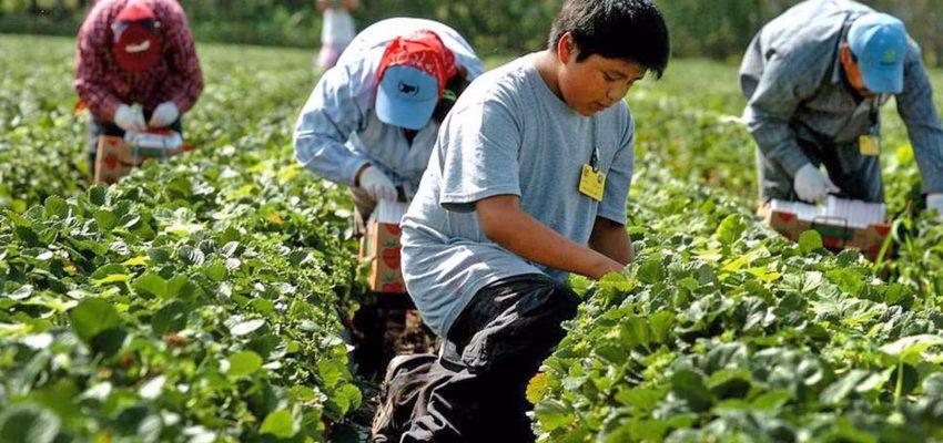 ¿Cuánto trabajo infantil hay en Chile?