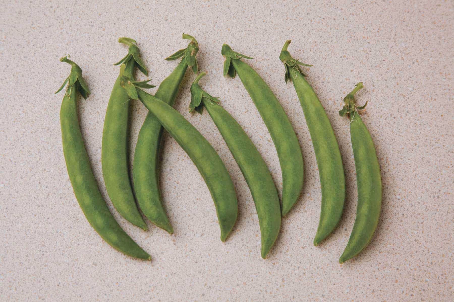 What is the green worm in pea?